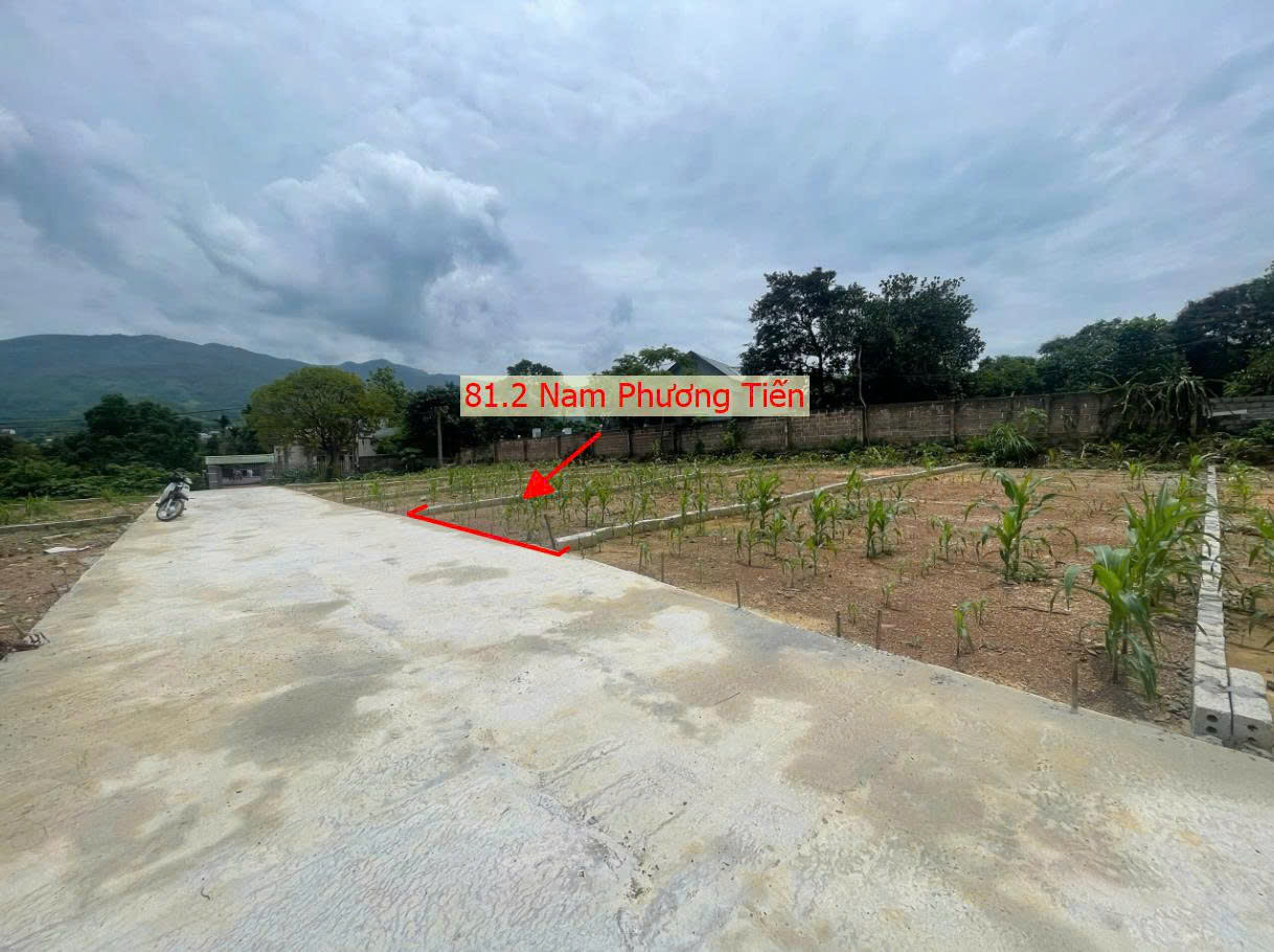 Hình ảnh Bán Đất Phân Lô Xã Nam Phương Tiến Ô Tô Đỗ Tận Đất Sát Trục Kinh Doanh Gần Hồ Văn Sơn Khu Nghỉ Dưỡng Skylake