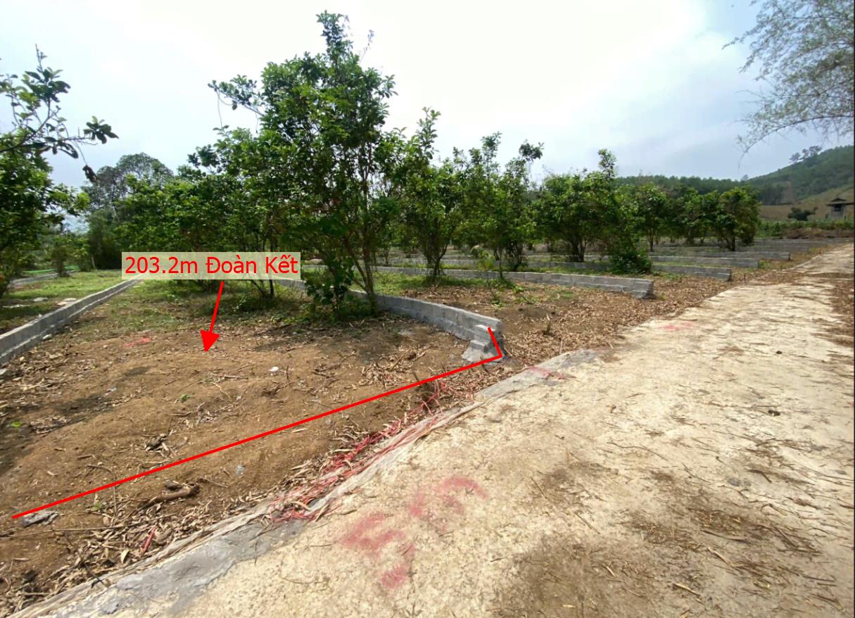 Hình ảnh Bán Lô Đất 203.2m Tại Đoàn Kết Yên Thủy Bám Đường Bê Tông Ô Tô Vào Tận Đất Dân Cư Đông Đúc Thân Thiện Giá Đầu Tư