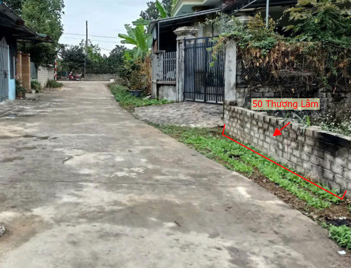 Hình ảnh Bán Thửa Đất 50m Tại Thượng Lâm Mỹ Đức 2 Mặt Tiền Đường Ô Tô Tránh Giá Nhỉnh Tỷ