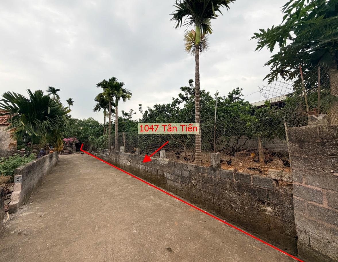 Hình ảnh Bất Động Sản Xuân Mai Bán Đất Khu Vực Tân Tiến Sát Trục Chính Kinh Doanh Liên Xã Ngay Gần Trường Học Các Cấp