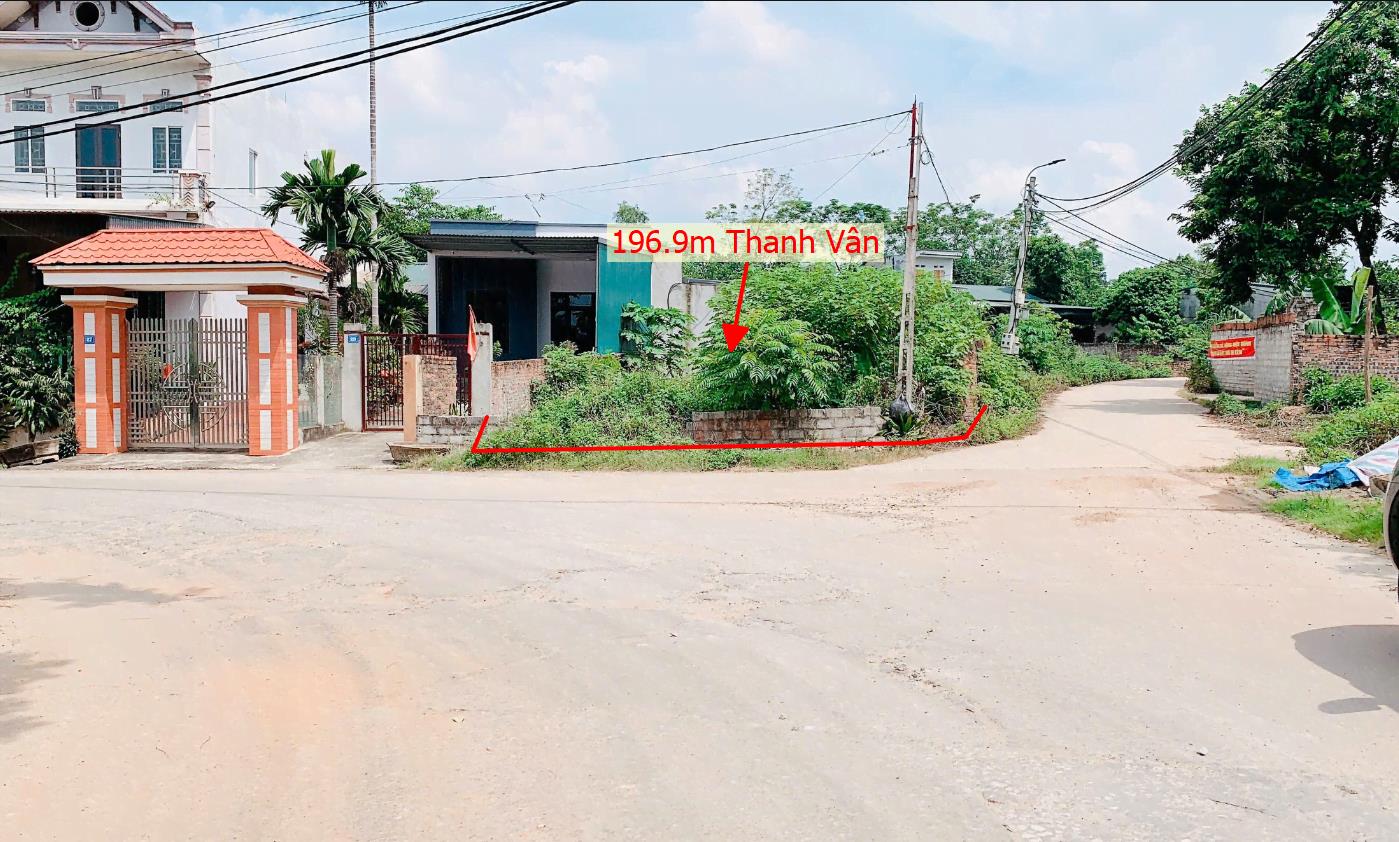 Hình ảnh Bán Lô Đất 196.9m Tại Thanh Vân Tam Dương Bám Đường Bê Tông Ô Tô Vào Tận Đất Dân Cư Đông Có Thẻ Chia 2 Lô Giá Đầu Tư