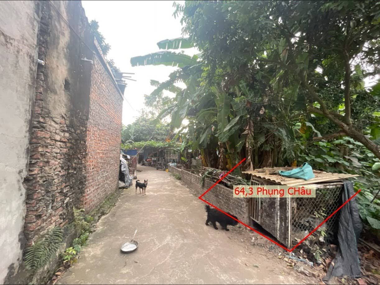 Hình ảnh Bán Thửa Đất 64.3m Tại Phụng Châu Sát Trục Kinh Doanh Liên Huyện Giá Chỉ Vài Tỷ