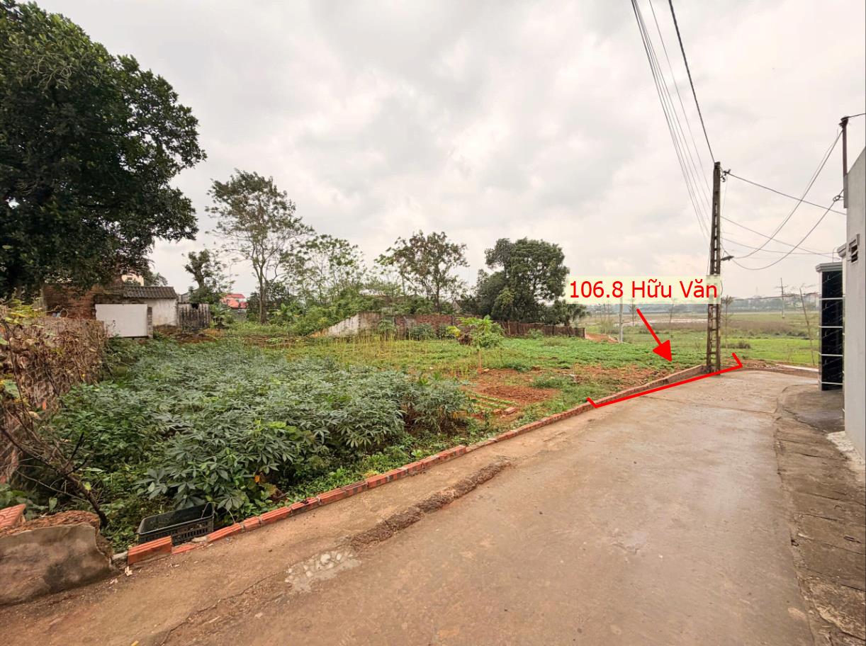 Hình ảnh Bán Đất Phân Lô Hữu Văn Đường Thông Ô Tô Ngay Gần Mặt Đường Kinh Doanh Nguyễn Văn Trỗi
