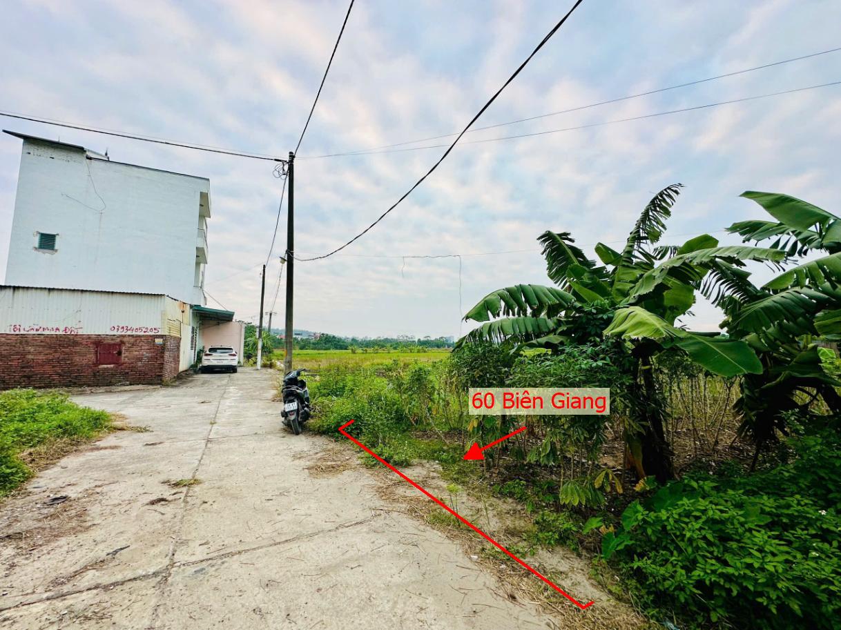 Hình ảnh Đất Đấu Giá Phúc Tiến Biên Giang 60m Ô Tô Đỗ Tận Đất Sát Trục Kinh Doanh Gần QL6A Đang Triển Khai Mở Rộng