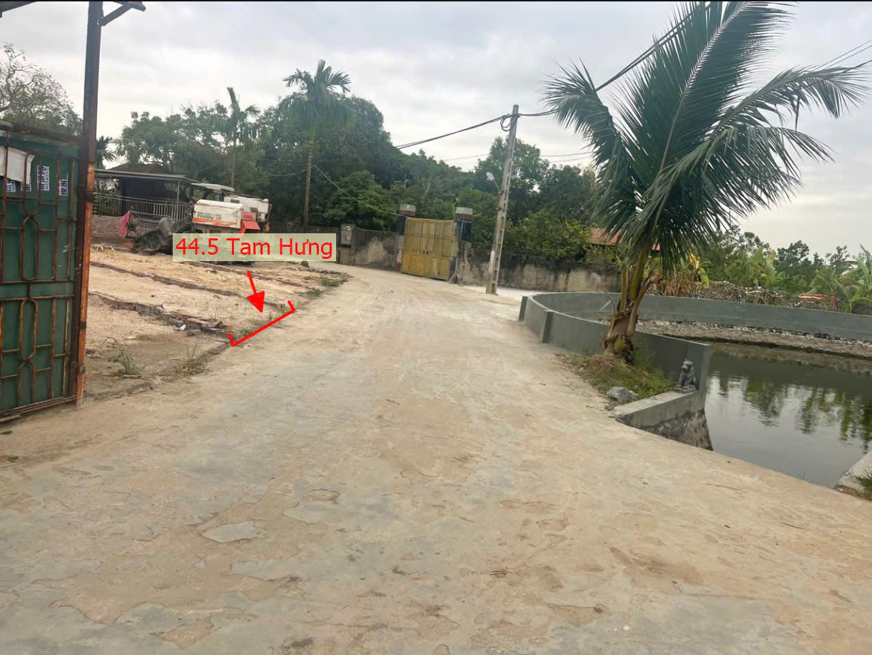 Hình ảnh Bán Đất Tam Hưng Ô Tô Đỗ Tận Đất Sát Trục Kinh Tế Huyện | Đất Phân Lô Tam Hưng Thanh Oai 