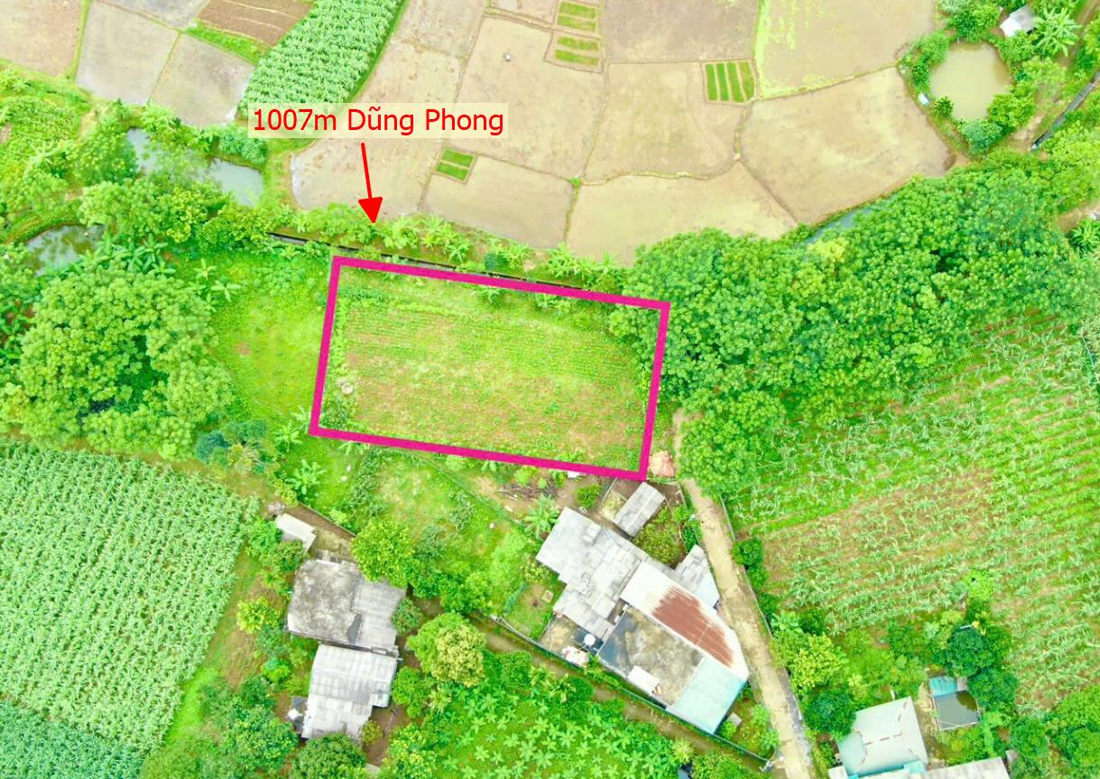 Hình ảnh Bán Lô Đất 1007m Tại DŨng Phong Cao Phong Bám Đường Bê Tông Ô Tô Vào Tận Đất Dân Cư Đông Đúc Thân Thiêjn