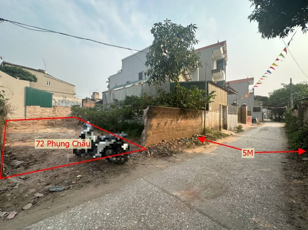 Hình ảnh Bán Đất Phụng Châu Gần Trục Chính Liên Huyện Ô Tô Vào Tận Đất Giá Chỉ Vài Tỷ