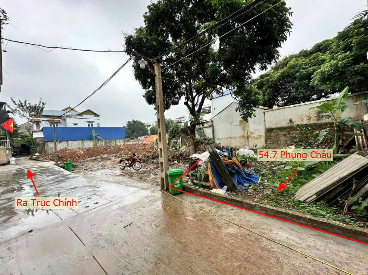 Hình ảnh Bán Lô Đất 54.7m Tại Phụng Châu Ngay Gần Trung Tâm Xã Phụng Châu Sát Trục Chính Liên Huyện