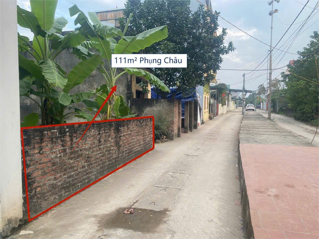 Hình ảnh Bán Lô Góc 2 Mặt Tiền 111m Tại Phụng Châu Đường Thông Ô Tô Sát Trục Chính Kinh Daonh Liên Xã 