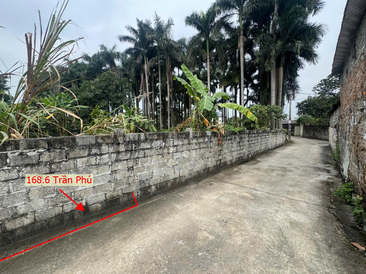 Hình ảnh Bất Động Sản Trần Phú Bán Đất Phân Lô Trần Phú Ô Tô Đỗ Tận Đất Sát Trục Chính Kinh Doanh Ngay Gần QL21A 