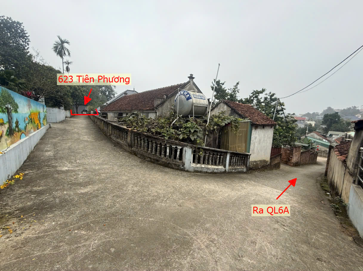 Hình ảnh Bán Thửa Đất 623m Tại Tiên Phương Chương Mỹ Gần Trục Kinh Doanh Ngay Trung Tâm Hành Chính Xã 