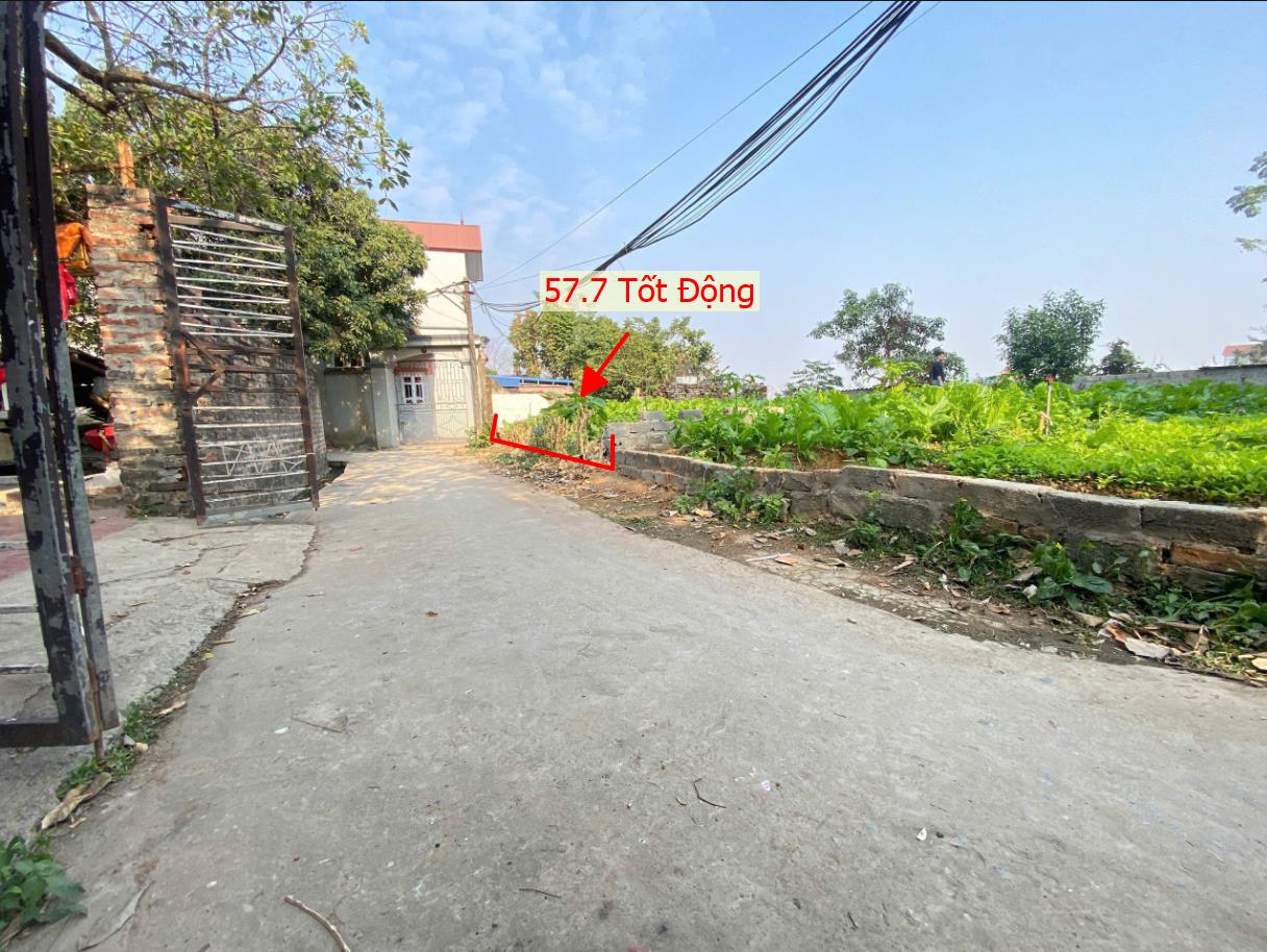 Hình ảnh Bán Đất Tốt Động Gần Trục Chính Thôn Ngay Trung Tâm Xã Tốt Động Giá Chưa Đến Tỷ 