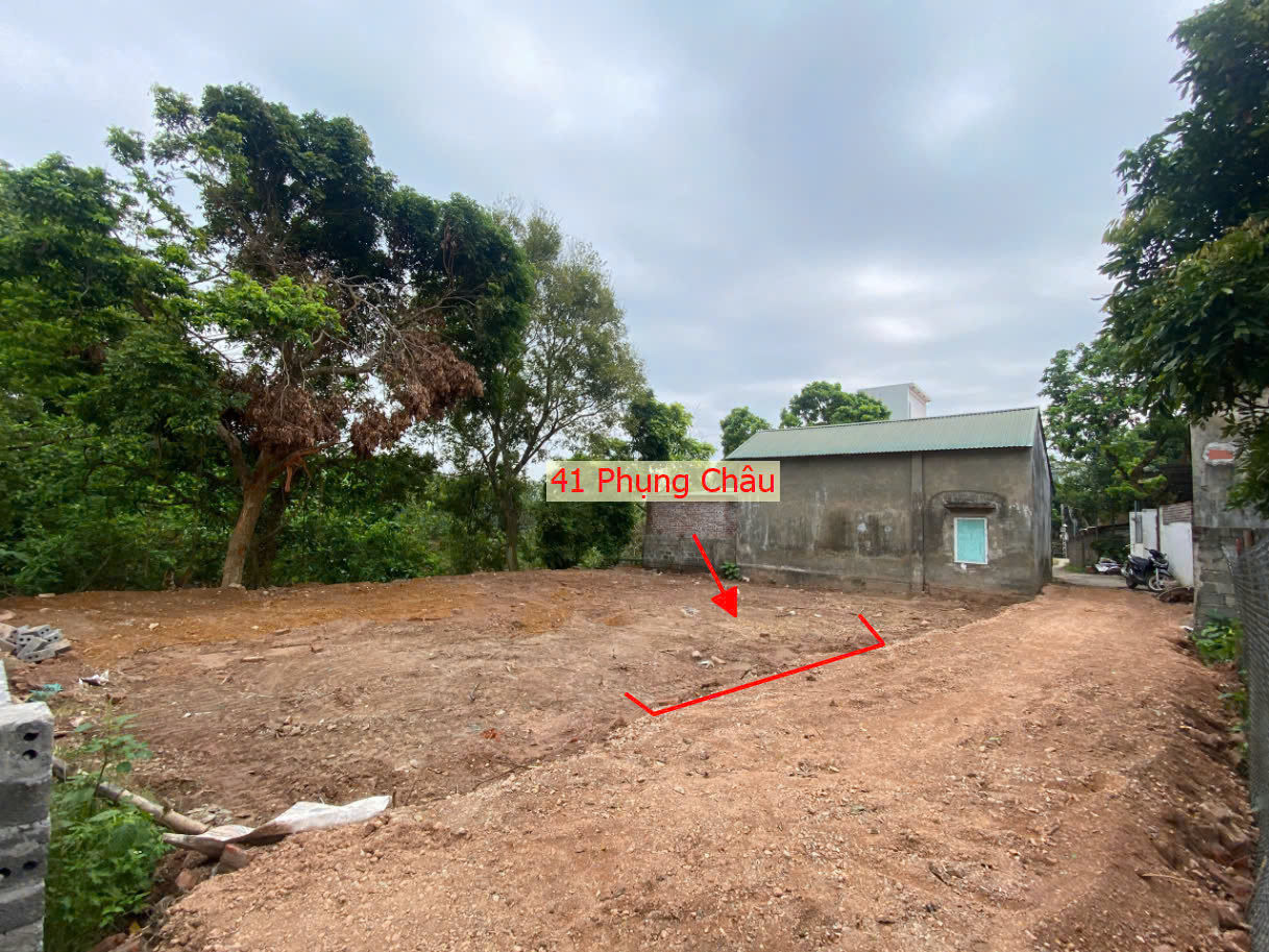 Hình ảnh Bán Đất Phụng Châu Sát Trục Chính Liên Huyện | Đất Phân Lô Phụng Châu Chương Mỹ 