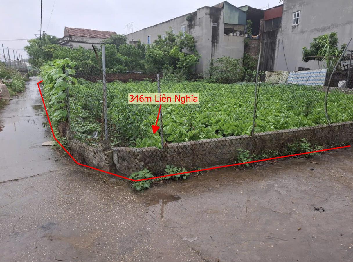 Hình ảnh Bán Lô Đẩ 346m Tại Liên NGhĩa Văn Giang Bám Đường Bê Tông Ô Tô Vào Tận Đất Dân Cư Đông Giàu Sổ Đỏ Pháp Lý Rõ Ràng Giá Đầu Tư