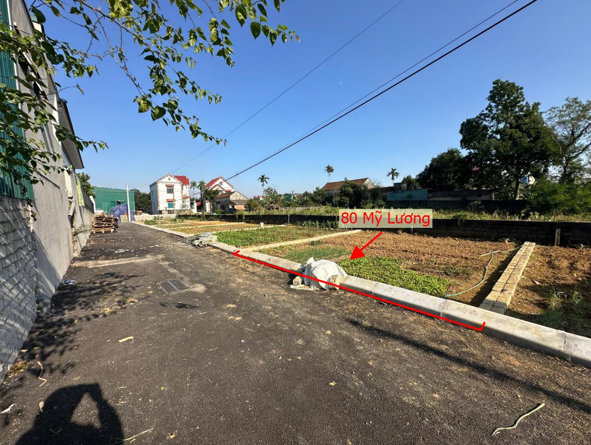 Hình ảnh Bán Đất Phân Lô Mỹ Lương Ô Tô Đỗ Tận Đất Sát Mặt Đường Kinh Doanh Liên Xã Ngay Gần QL21A