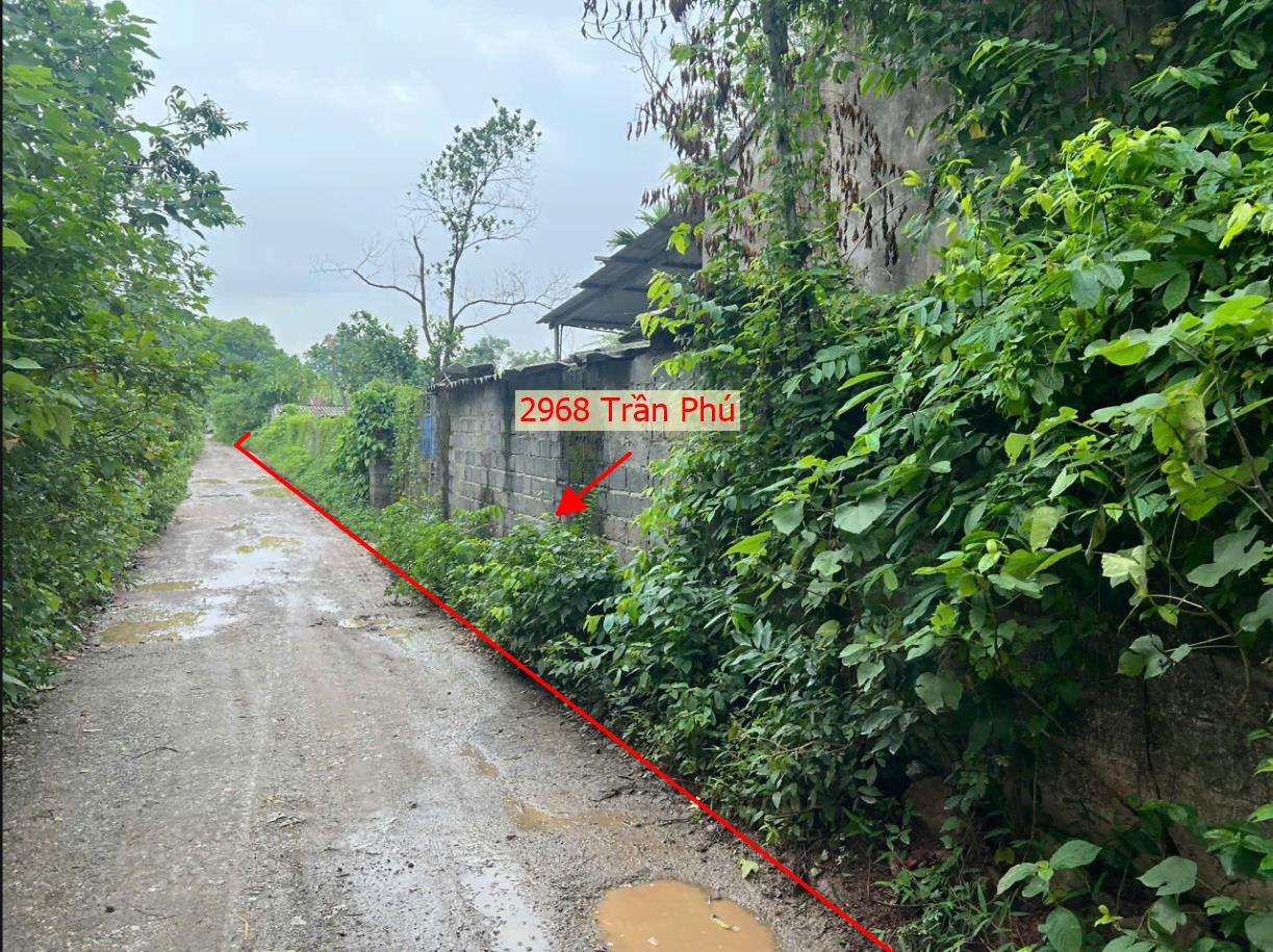 Hình ảnh Bán Thửa Đất 2968m Tại Trấn Phú Đường Ô Tô Tránh Ngay Gần Đường Hồ Chí Minh(QL21A) Giá Chỉ Vài Tỷ 