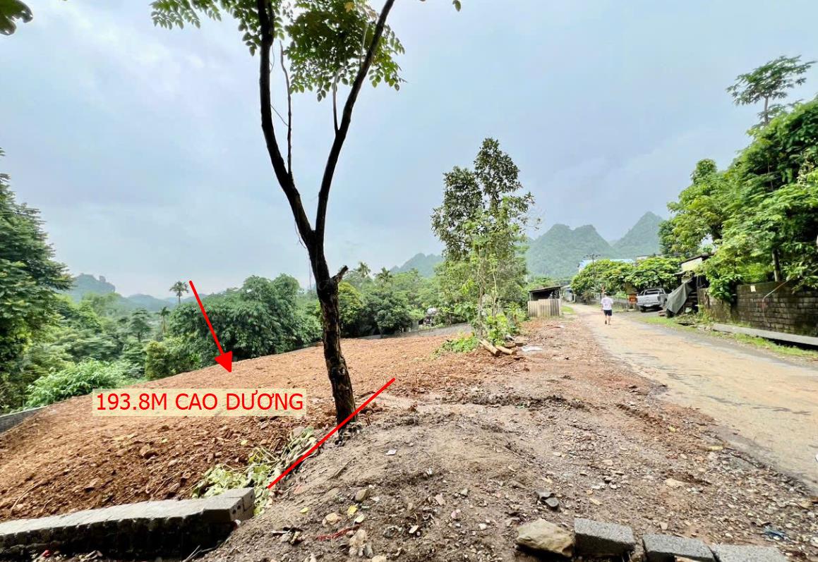 Hình ảnh Bán Lô Đất 198m Tại Cao Dương Lương Sơn Bám Đường Bê Tông Ô Tô Vào Tận Đất Giá Chỉ Vài Trăm Triệu