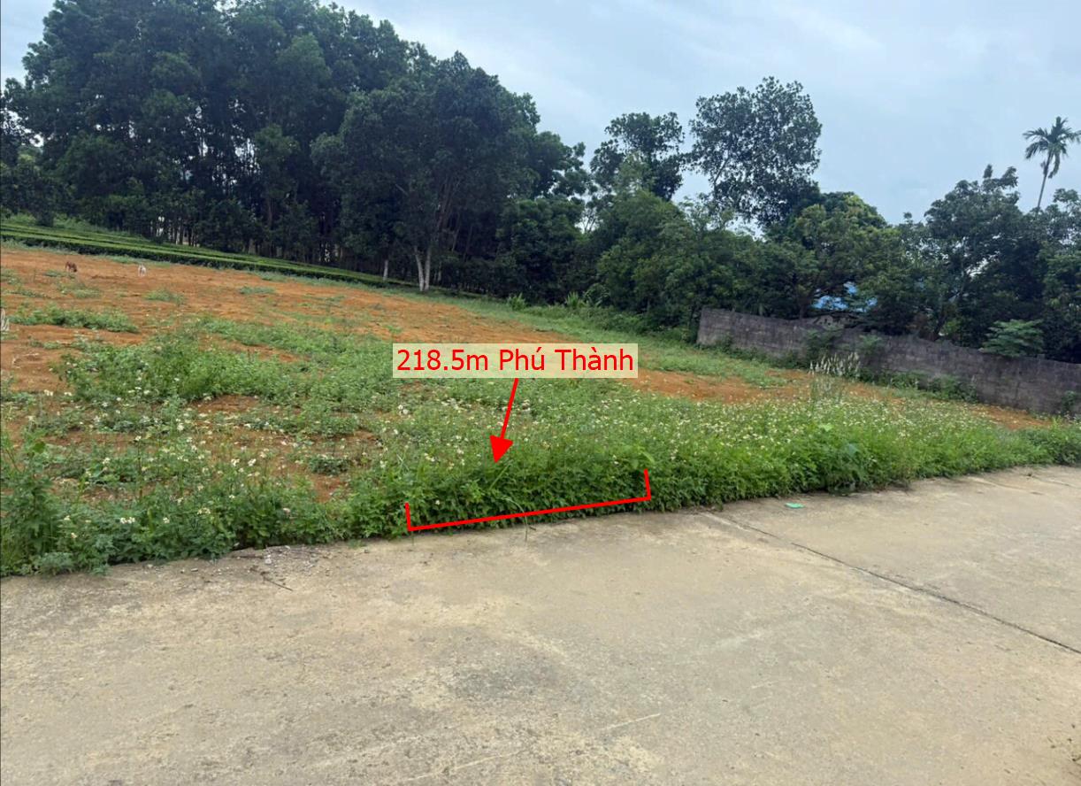 Hình ảnh Bán Lô Đất 215m Tại Phú Thành Lạc Thủy Bám Đường Bê Tông Ô Tô Vào Tận Đất Cách QL21a 400m Xung Quanh Đầy Đủ Tiện Ích Giá Đầu Tư