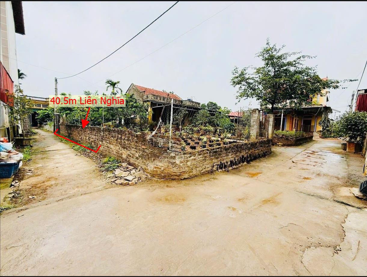 Hình ảnh Bán Lô Đất 45.1m Tại Liên Nghĩa Văn Giang Bám Đường Bê Tông Ô Tô Tránh Nhau  Cách TRục Chính Kinh Doanh 100m Giá Rẻ Cho Nhà Đầu Tư