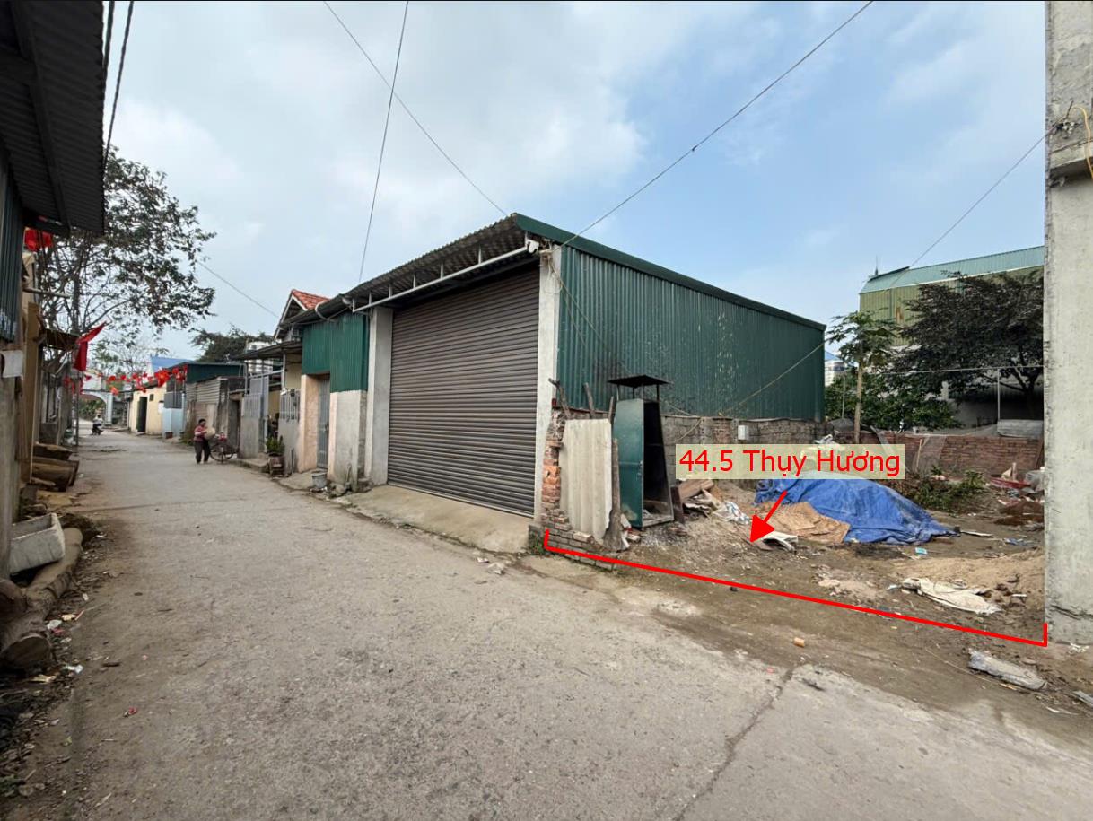 Hình ảnh Bán Full Thổ Cư Ô Tô Vào Tận Đất Ngay Trung Tâm Xã Thụy Hương - Đất Phân Lô Xã Thụy Hương 