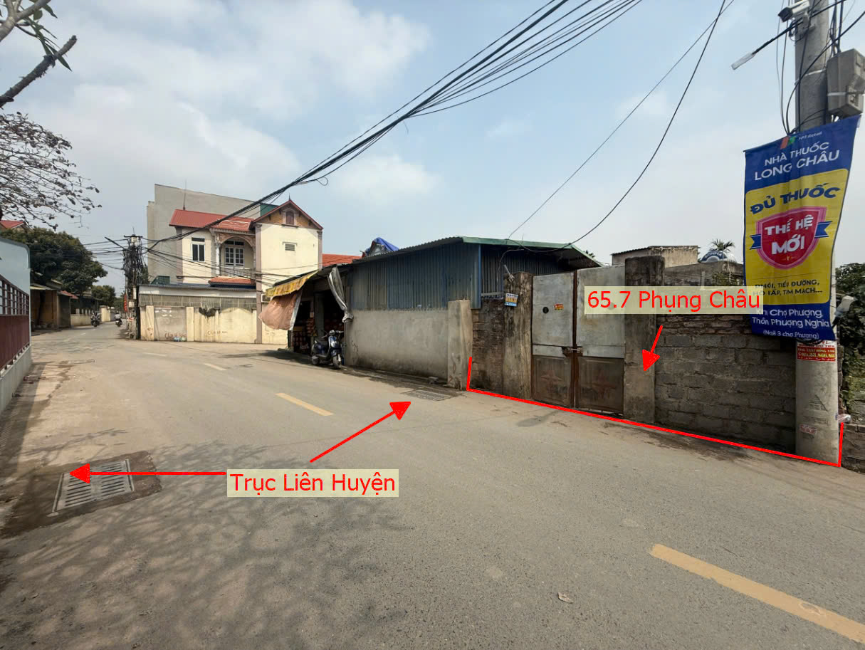 Hình ảnh Bán Đất Full Thổ Cư 65.7m Tại Phụng Châu Mặt Trục kinh Doanh Liên Huyện Giá Chỉ Vài Tỷ 