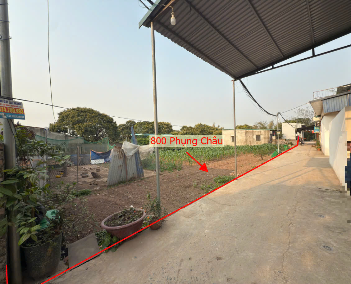 Hình ảnh Bán Thửa Đất 800m Tại Phụng Châu Chương Mỹ Gần Trục Chính Kinh Doanh Liên Huyện Giá Chỉ Vài Tỷ