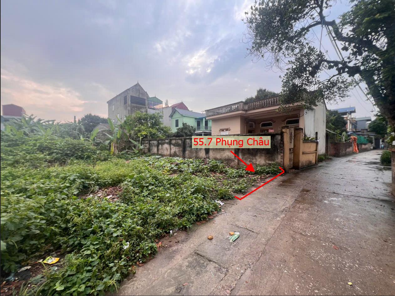 Hình ảnh Bất Động Sản Chương Mỹ Bán Đất Khu Vực Phụng Châu Đường Thông Ô Tô Sát Trục Kinh Doanh Liên Xã Gần Trường Đại Học TDTT