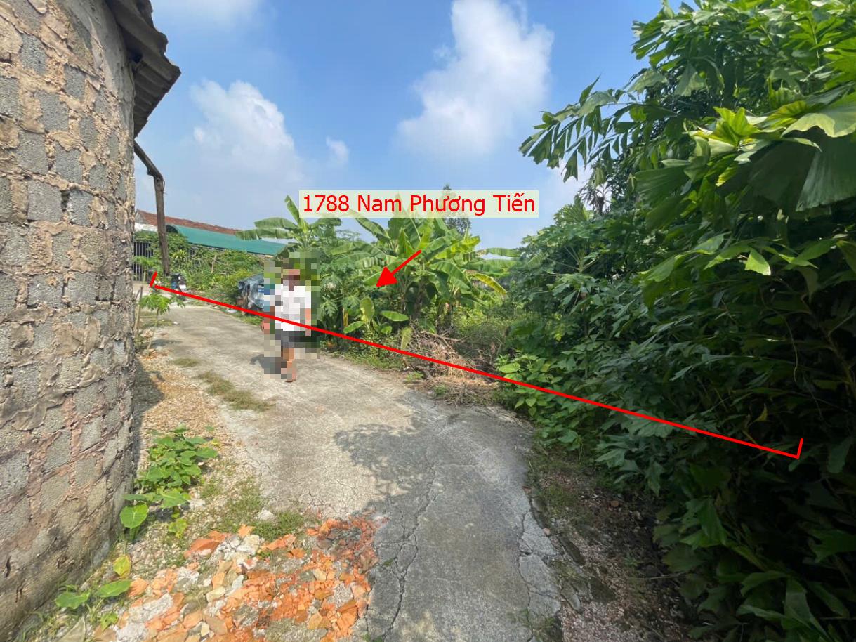 Hình ảnh Bán Thửa Đất 1788m Tại Nam Phương Tiến Sát Trục Kinh Doanh Ngay Gần Đường QL21A