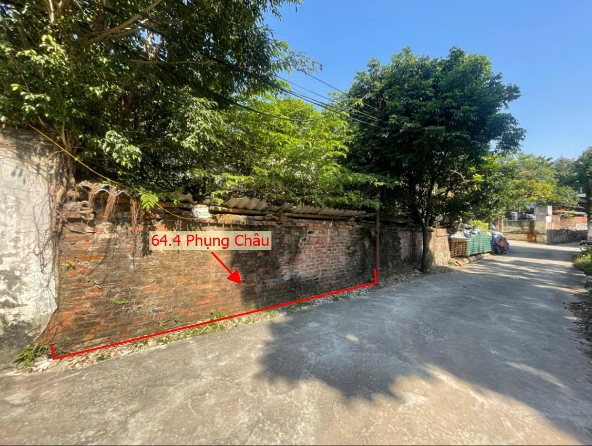 Hình ảnh Bán Đất Full Thổ Cư 64.4m Tại Phụng Châu Ô Tô Vào Tận Đất Gần Trục Kinh Doanh Liên Xã Giá Chỉ Vài Tỷ