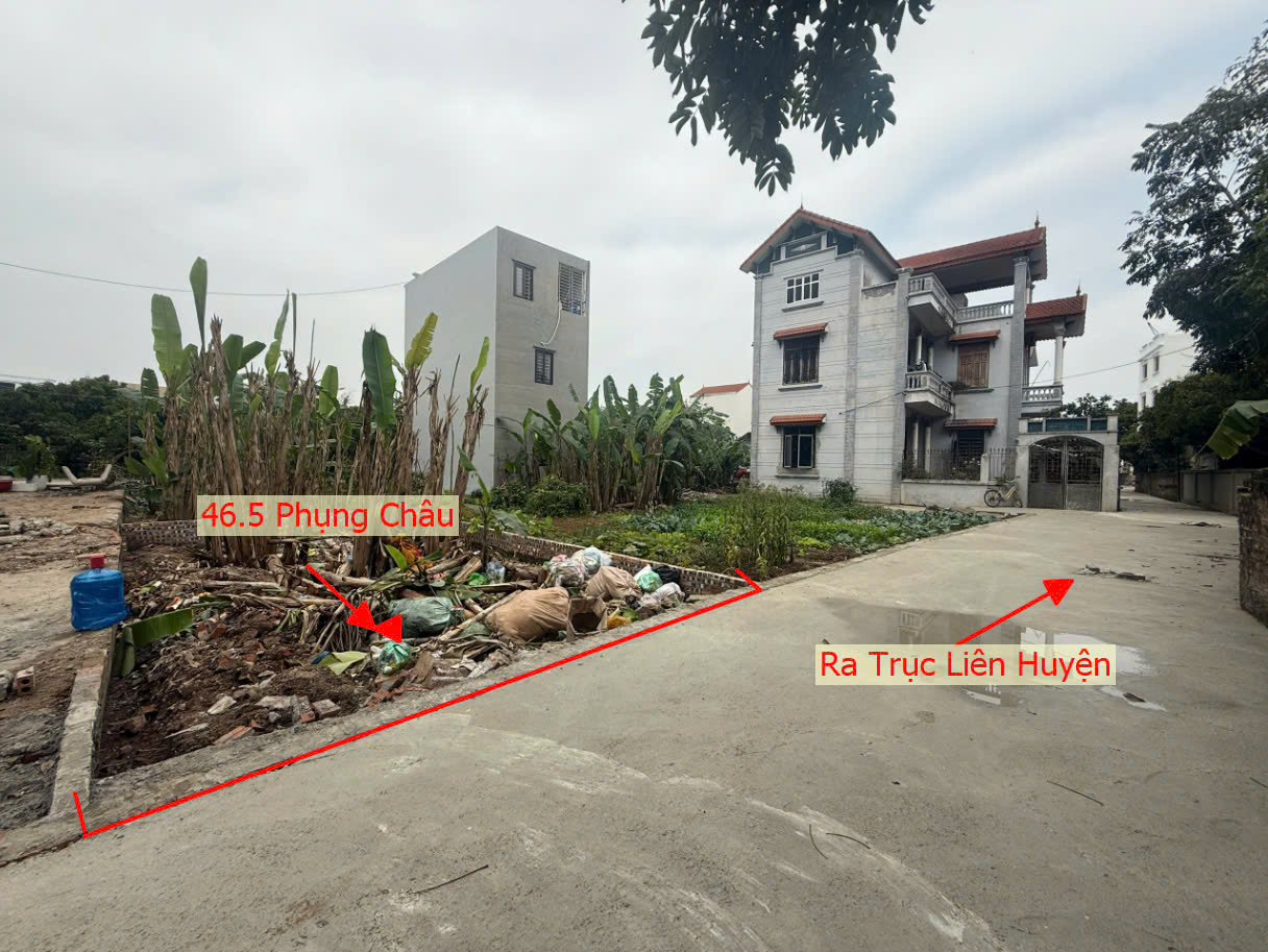 Hình ảnh Bán Thửa Đất 46.5M2 Tại Phụng Châu Ô Tô Vào Tận Đất Gần Trục Chính Kinh Doanh Liên Huyện 