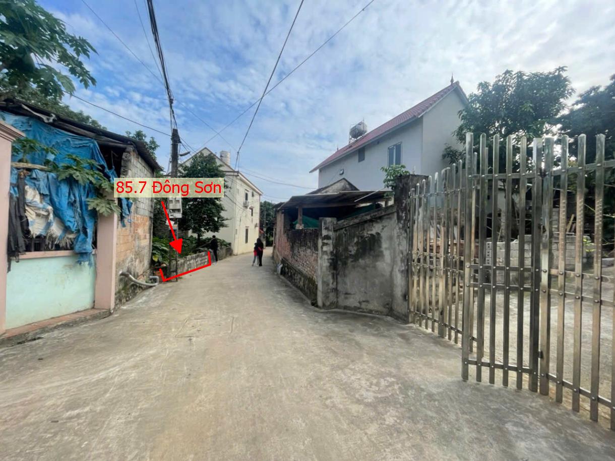 Hình ảnh Bán Đất Phân Lô 82.7m Ô Tô Đỗ Tận Đất Tại Đông Sơn Sát Trục Chính Kinh Doanh Giá Chỉ Nhỉnh 2 Tỷ