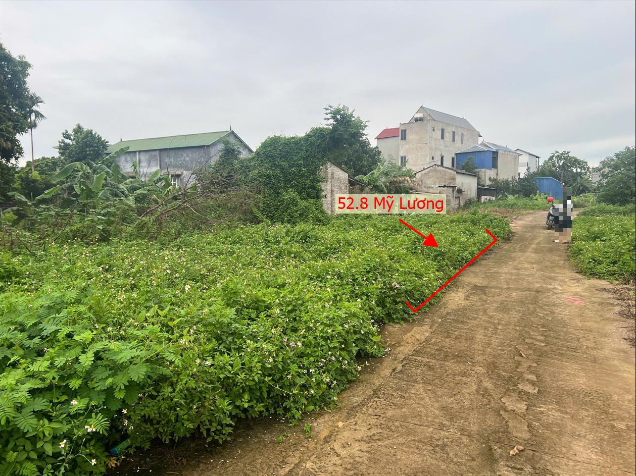 Hình ảnh Bán Thửa Đất 52.8m Tại Mỹ Lương Ô Tô Vào Tận Đất Sát Mặt Đường Kinh Doanh Nguyễn Văn Trỗi