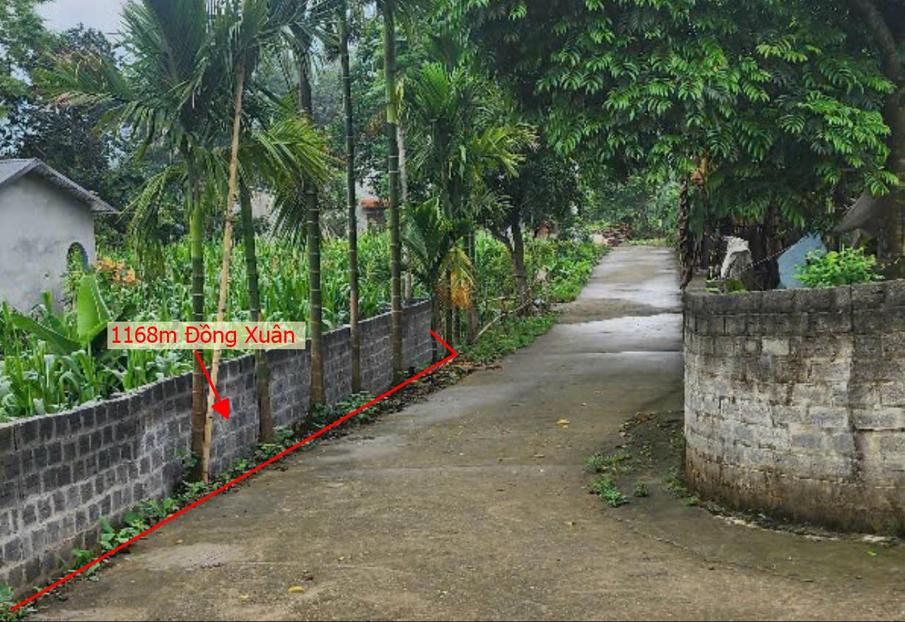 Hình ảnh Bán Lô Đất 1168m Tại  Lương Sơn Bám Đường Bê Tông Ô Tô Vào Tận Đất Dân Cư Đông Đúc  Gần Chợ Trường Học Ủy Ban Giá Đầu Tư