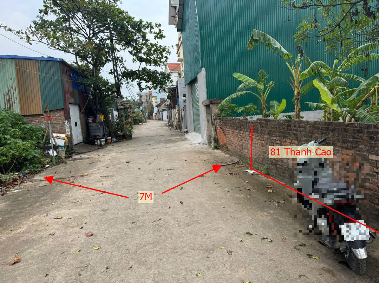 Hình ảnh Bán Đất Thanh Cao Mặt Trục Kinh Doanh Thôn Ngay Trung Tâm Xã Thanh Cao 
