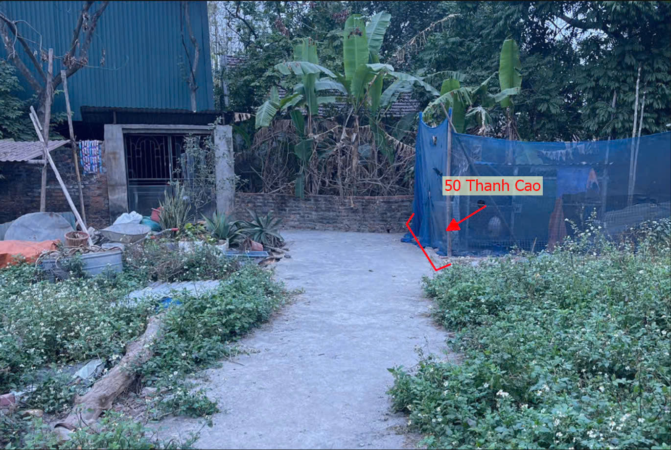 Hình ảnh Bán Đất Thanh Cao Gần Trục Chính Kinh Doanh Liên Xã Ngay Trung Tâm Xã Thanh Cao Giá Nhỉnh Tỷ 