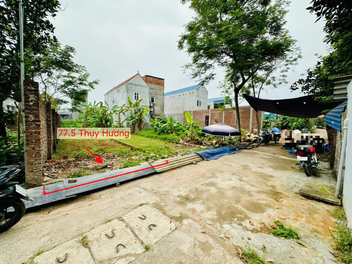 Hình ảnh Bán Thửa Đất 77.5m Ngay Trung Tâm Xã Thụy Hương Ô Tô Đỗ Tận Đất Sát Trục Kinh Doanh