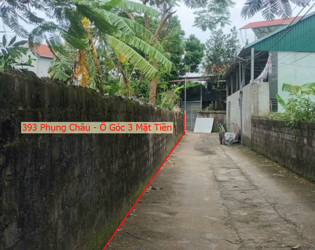 Hình ảnh Bán Lô Góc 3 Mặt Tiền Mặt Đường Kinh Doanh Ngay Trung Tâm Xã Phụng Châu Chương Mỹ 