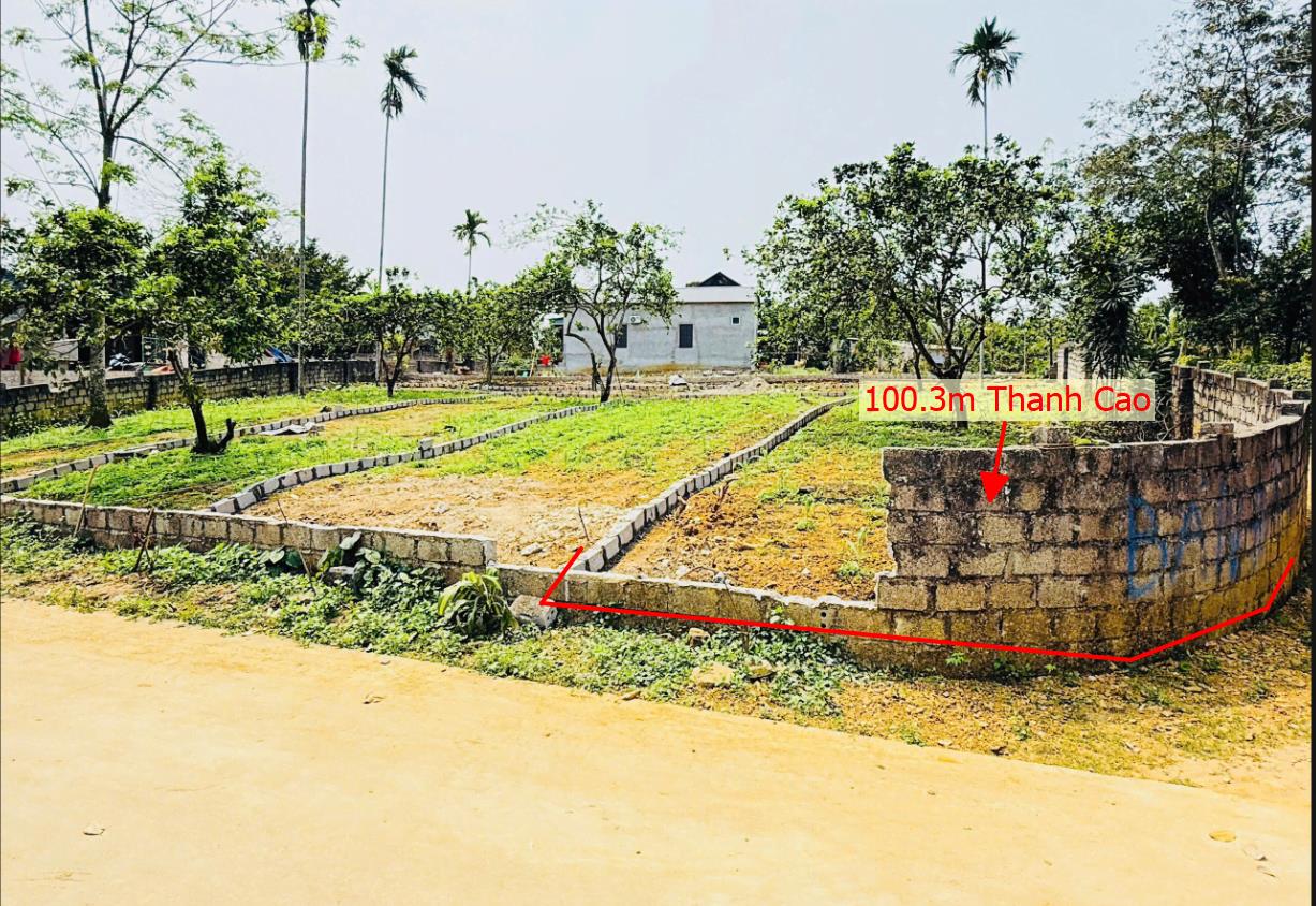 Hình ảnh Bán Lô Đất 100.3m Tại Thanh Cao Lương Sơn Bám Đường Bê Tông Ô Tô Vào Tận Đất Dân Cư Đông Đúc View Thoáng Mát Gần Chợ Trường Học Ủy Ban Giá Đầu Tư