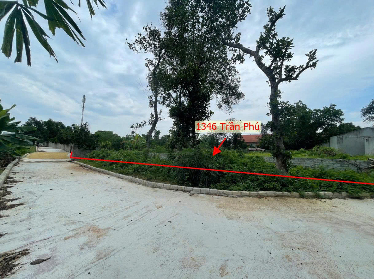 Hình ảnh Bán Thửa Đất 1346m Tại Trần Phú Chương Mỹ Ô Tô Đỗ Tận Đất Sát Trục Kinh Doanh Gần QL21A 