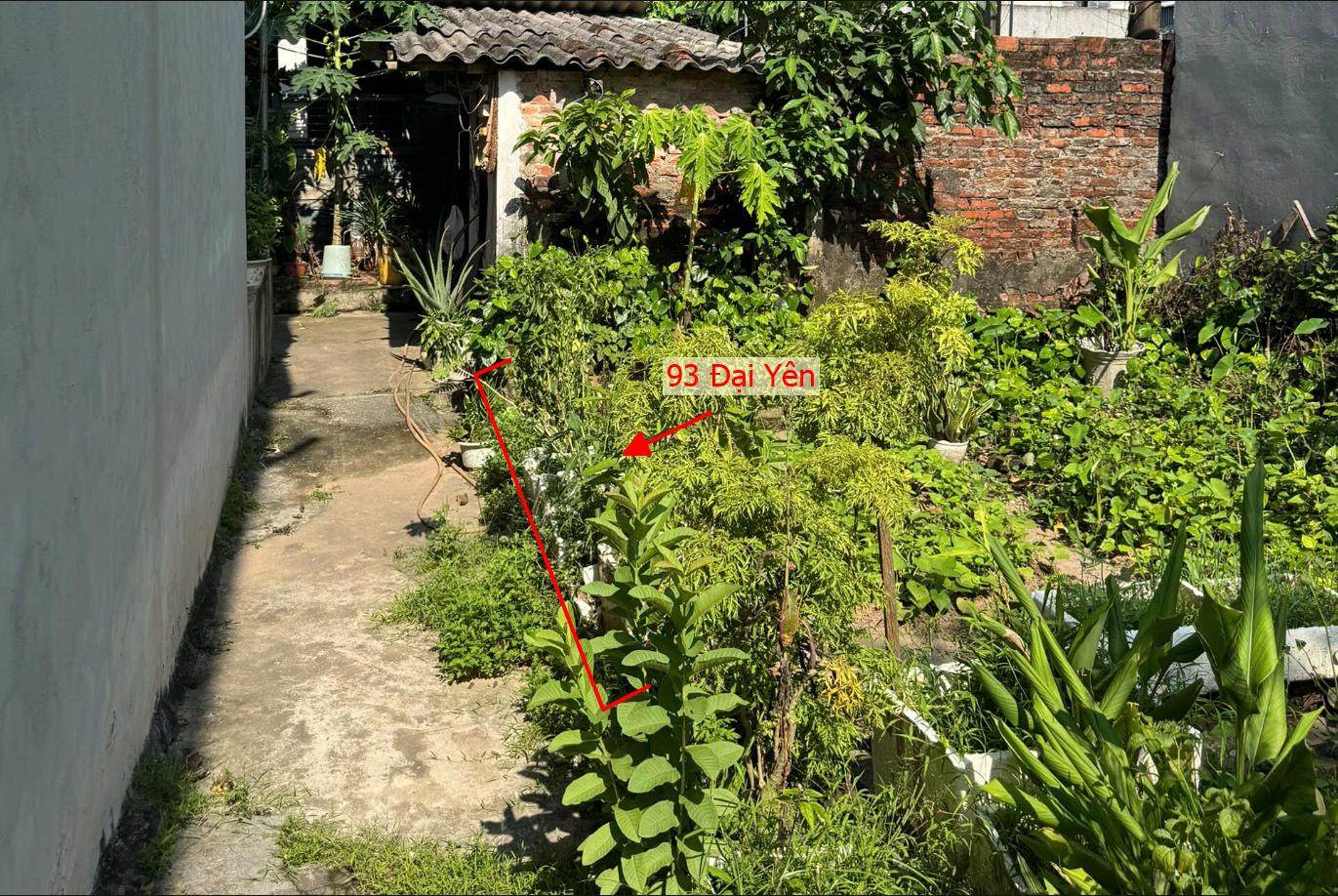 Hình ảnh Bất Động Sản Chương Mỹ Bán Đất Khu Vực Đại Yên Thuộc Làn 2 Đường TL419 Cách Trường Cấp 3 CMA Chỉ Vài Trăm Mét