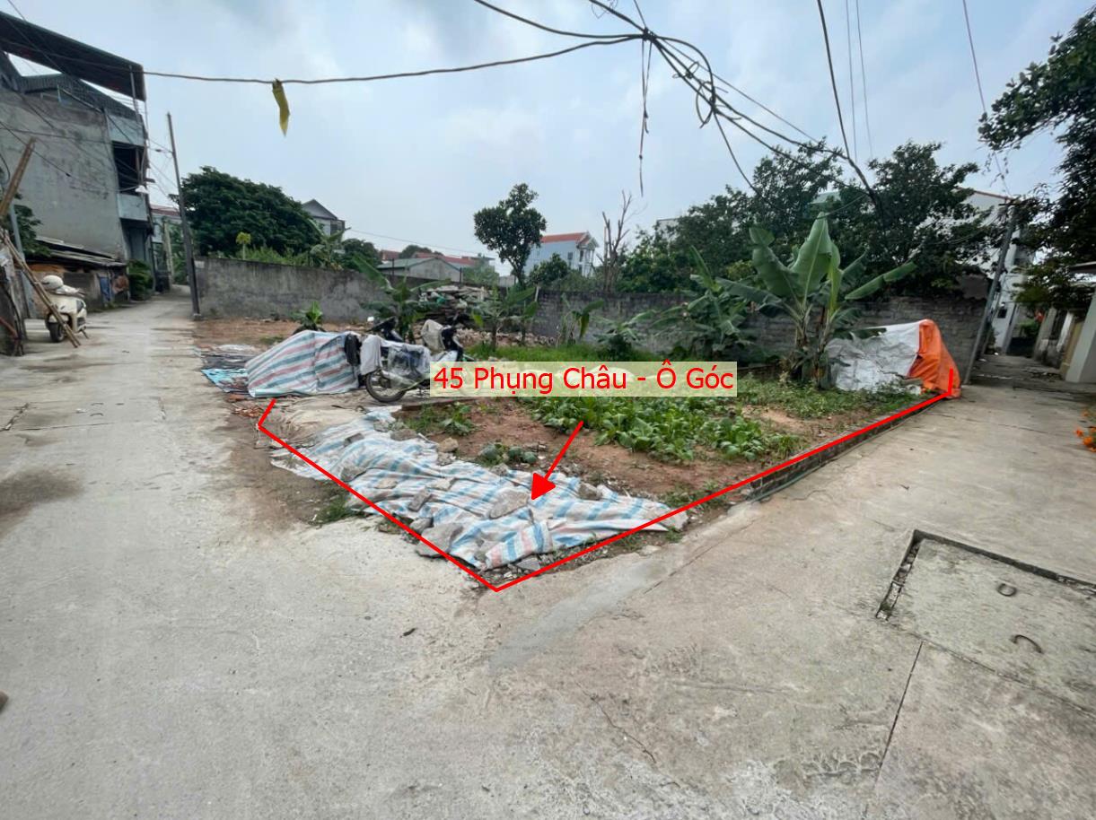 Hình ảnh Bất Động Sản Chương Bán Đất Khu Vực Phụng Châu Lô Góc 2 Mặt Thoáng Sát Trục Kinh Doanh Liên Xã 