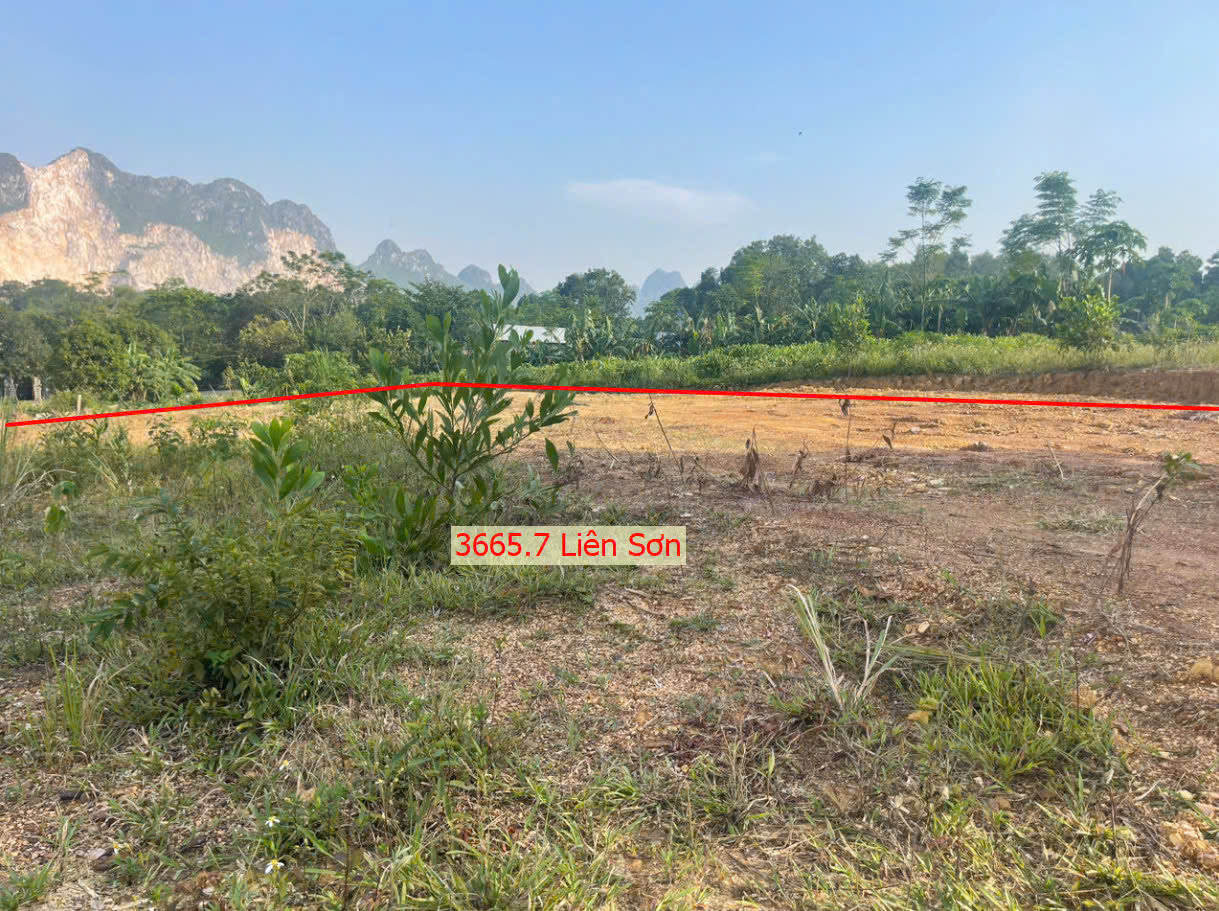 Hình ảnh Bán Đất Nghỉ Dưỡng Tại Liên Sơn Lương Sơn Ô Tô Vào Tận Đất Ngay Sát Hồ Đồng Sương Cực Đẹp 