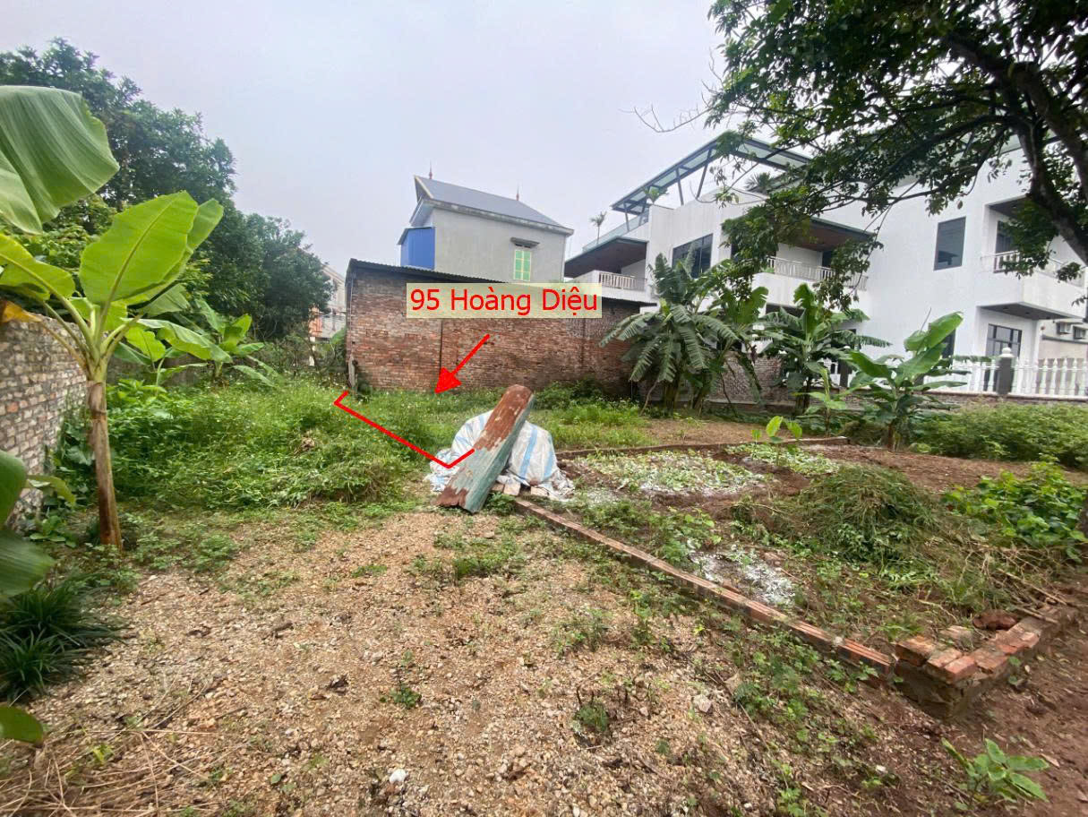 Hình ảnh Bán Thửa Đất 95m Tại Hoàng Diệu Sát Trục Kinh Doanh Liên Huyện Ngay Trung Tâm Hành Chính Xã