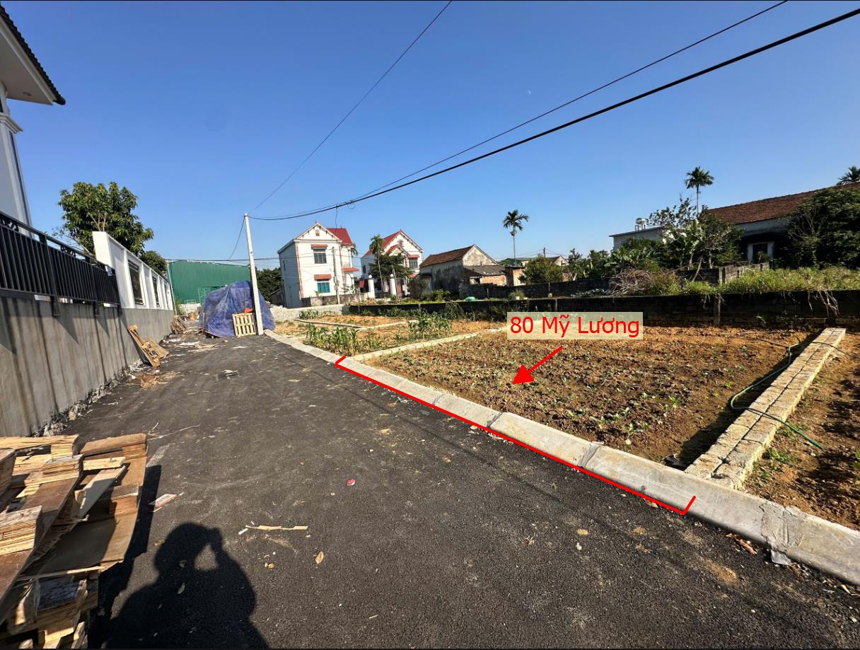 Hình ảnh Bán Đất Phân Lô Mỹ Lương Ô Tô Đỗ Tận Đất Sát Mặt Đường Kinh Doanh Liên Xã Ngay Gần QL21A