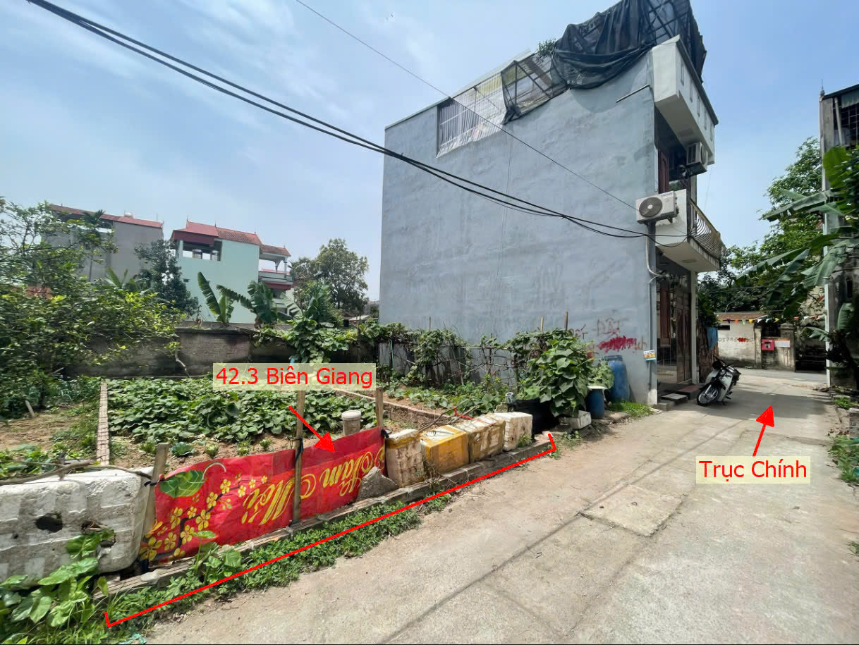 Hình ảnh Bán Thửa Đất 42.3m Tại Biên Giang Hà Đông Sát Trục Chính Kinh Doanh Sát QL6A Đang Triển Khai Mở Rộng