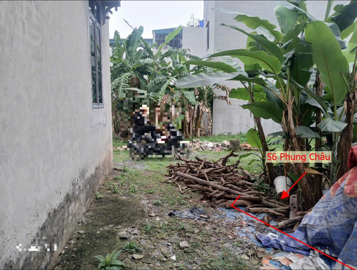 Hình ảnh Bán Thửa Đất Full Thổ Cư 56m Tại Phụng Châu Sát Trục Liên Huyện Gần Trung Tâm Hành Chính Xã 