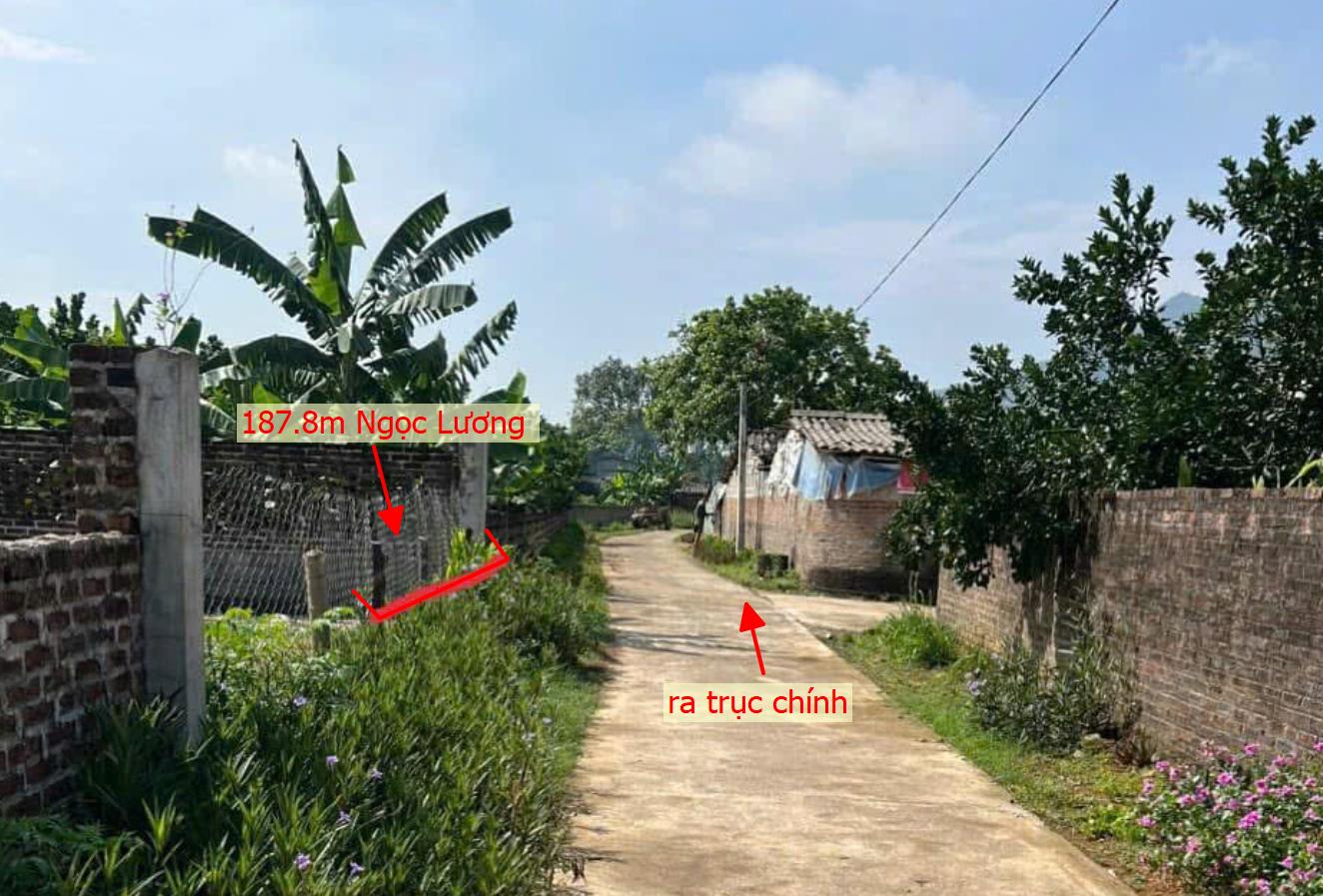 Hình ảnh Bán Lô Đất 187.8m Tại Ngọc Lương Bám Đường Bê Tông Ô Tô Vào Tận Đất Dân Cư Đông Đúc Thân Thiện Gần Chợ Trường Học Ủy Ban Giá Đầu Tư