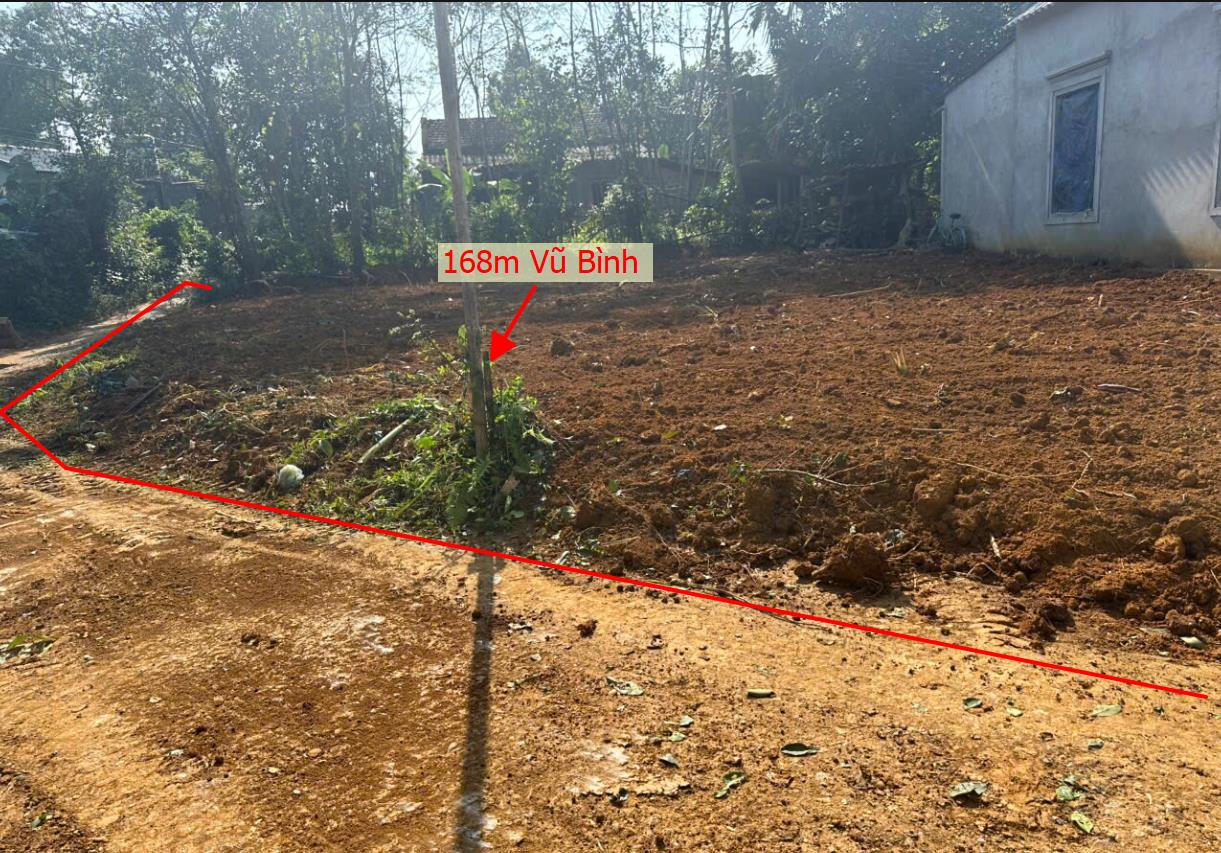 Hình ảnh Bán Lô Đất 168m Tại VŨ Bình Lạc Sơn Bám Đường Bê Tông Ô Tô Vào Tận Đất Dân Cư Đông Đúc Thân Thiện Giá Đầu Tư