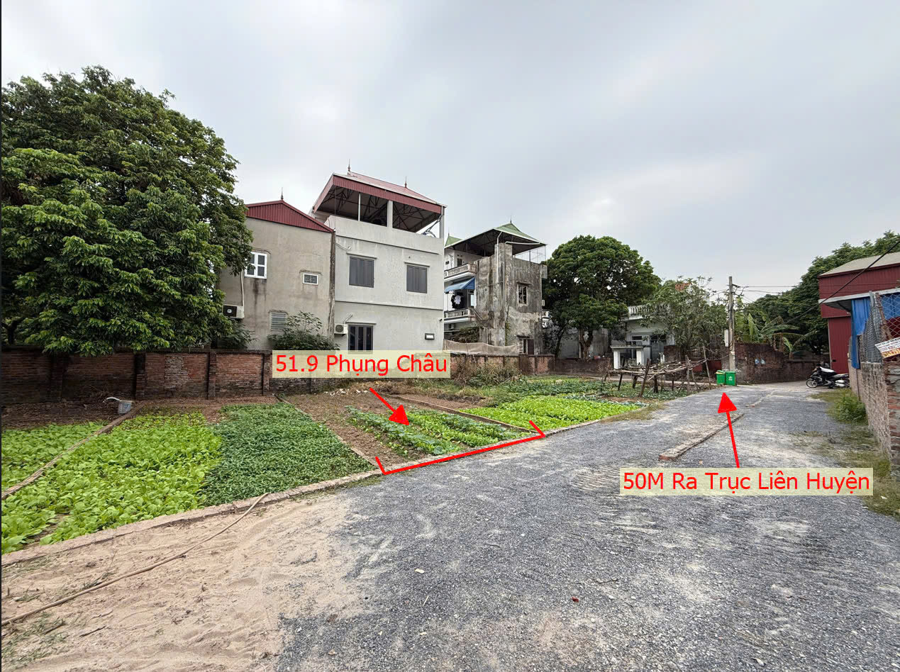 Hình ảnh Đất Phân Lô Chương Mỹ Sát Trục Kinh Doanh Liên Huyện Ô Tô Vào Tận Đât Giá Chỉ Hơn 2 Tỷ