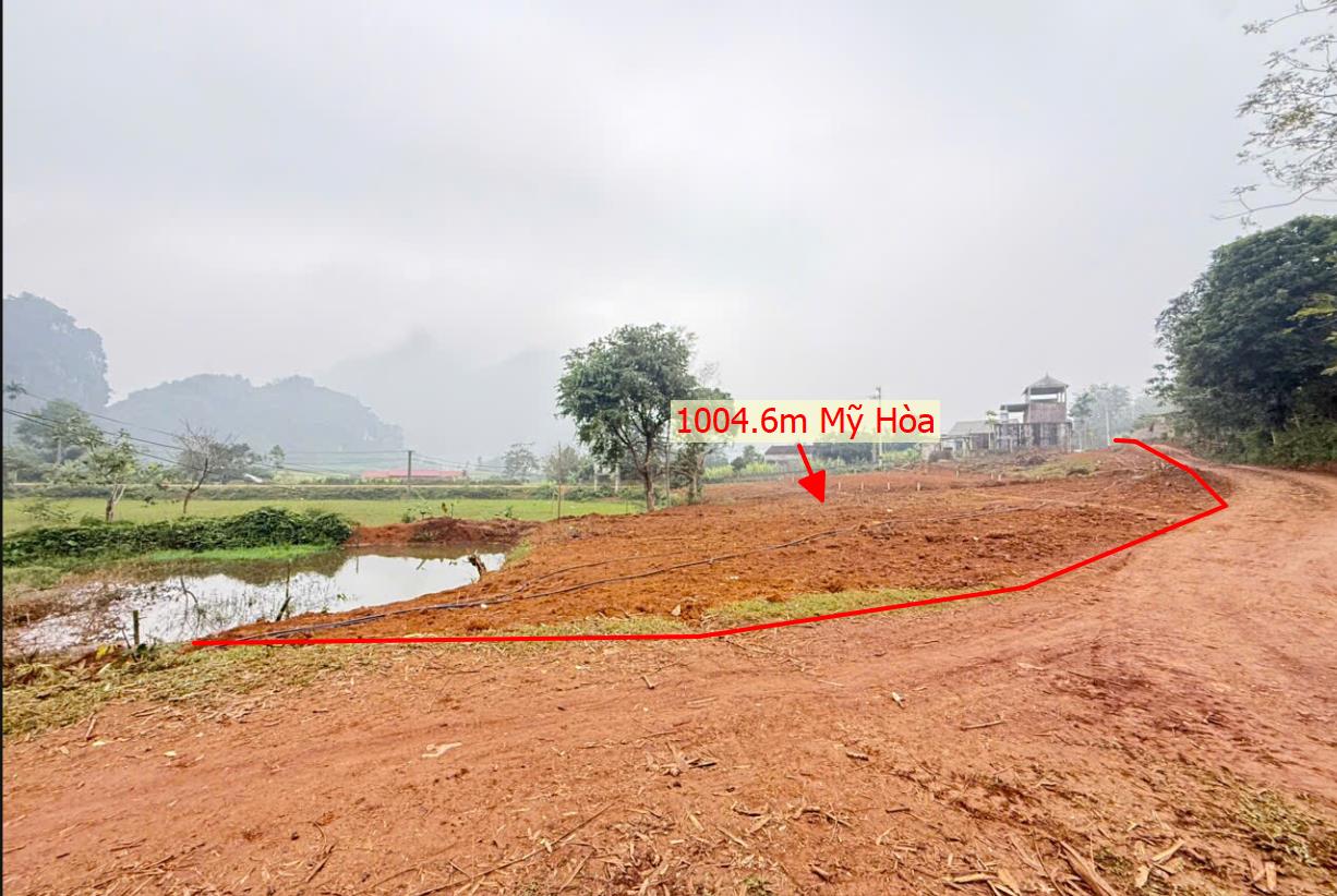 Hình ảnh Bán Lô Đất 1004.6m Tại Mỹ Hòa Tân Lạc Bám Đường Bê Tông Ô Tô Vào Tận Đất Dân Cư Đông Đúc Thân Thiện Phù Hợp Làm Nghỉ Dưỡng  View Cánh Đồng Giá Đầu Tư